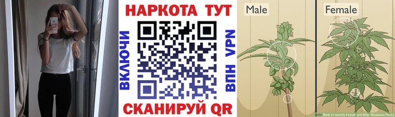 Где купить наркотики Динская Галлюциногенные грибы Alpha PVP АМФЕТАМИН COCAIN Мефедрон ГАШИШ