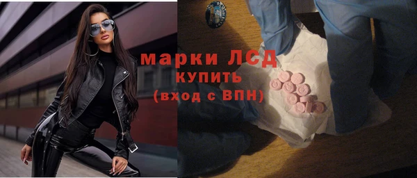 СК Ельня