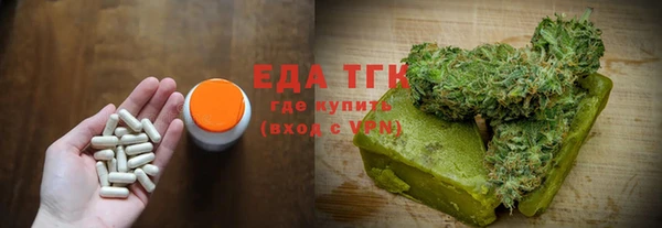 СК Ельня
