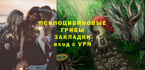 СК Ельня