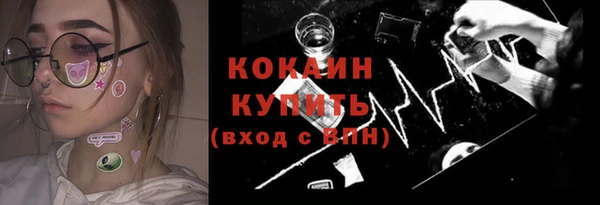 СК Ельня