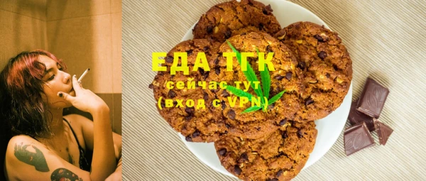 СК Ельня