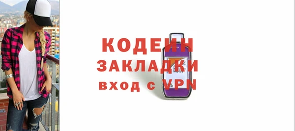 СК Ельня