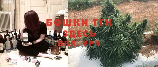 СК Ельня