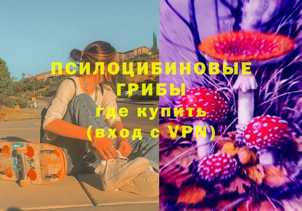 СК Ельня