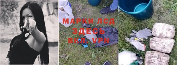 СК Ельня
