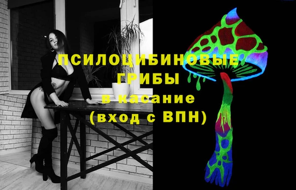 СК Ельня