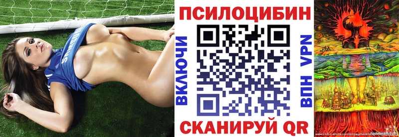 Псилоцибиновые грибы Psilocybine cubensis  где купить   Динская 